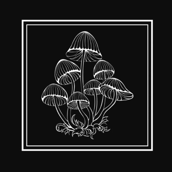 Black Mushroom Notebook, NWOT - Picture 1 of 4